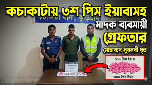 কচাকাটায় ৩শ পিস ইয়াবাসহ মাদক ব্যবসায়ী গ্রেফতার
