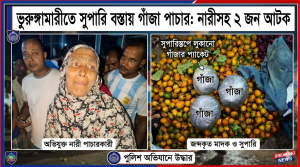 ভুরুঙ্গামারীতে সুপারি বস্তায় গাঁজা পাচার: নারীসহ ২ জন আটক