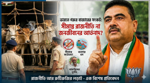 ভারতে গরুর বাজারের সংকট: সীমান্ত রাজনীতি না জনজীবনের আর্তনাদ?