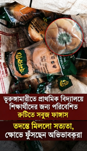 ভূরুঙ্গামারীতে প্রাথমিক বিদ্যালয়ের শিক্ষার্থীদের জন্য পরিবেশিত রুটিতে সবুজ ফাঙ্গাস তদন্তে মিললো সত্যতা, ক্ষোভে ফুঁসছেন অভিভাবকরা