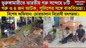 ভূরুঙ্গামারীতে ভারতীয় গরু সন্দেহে ৮টি গরু ও ৪ জন আটক, পুলিশের সঙ্গে বাকবিতণ্ডা