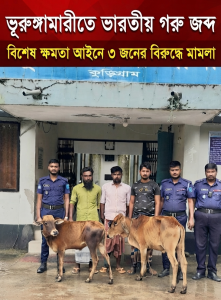 ভূরুঙ্গামারীতে  ভারতীয় গরু জব্দ, বিশেষ ক্ষমতা আইনে তিনজনের বিরুদ্ধে মামলা