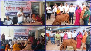 জয়পুরহাটে ৬ শতাধিক সুবিধাবঞ্চিত নারী ও প্রতিবন্ধীর মাঝে গরু বিতরণ